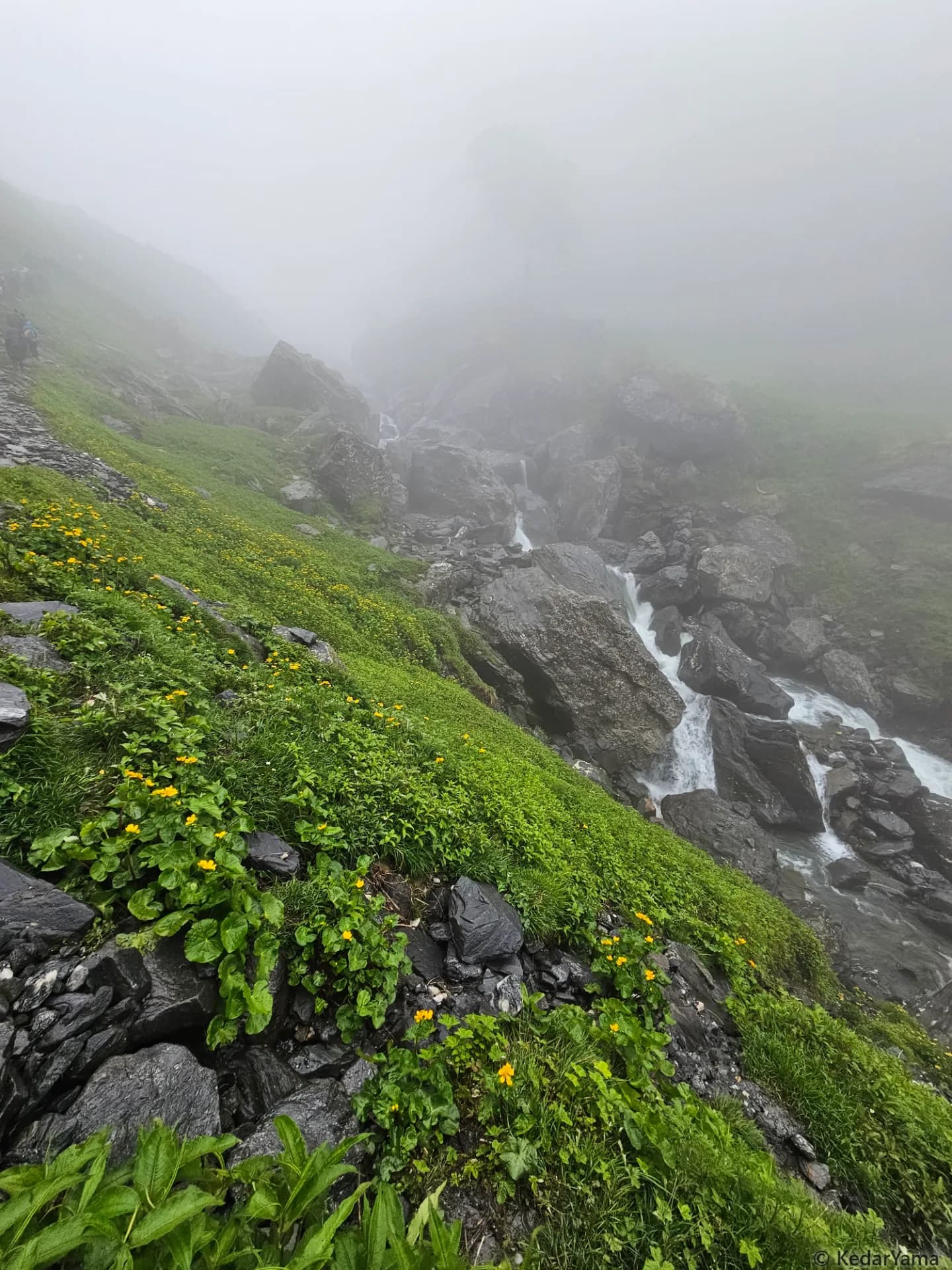 Scenery Scenery image