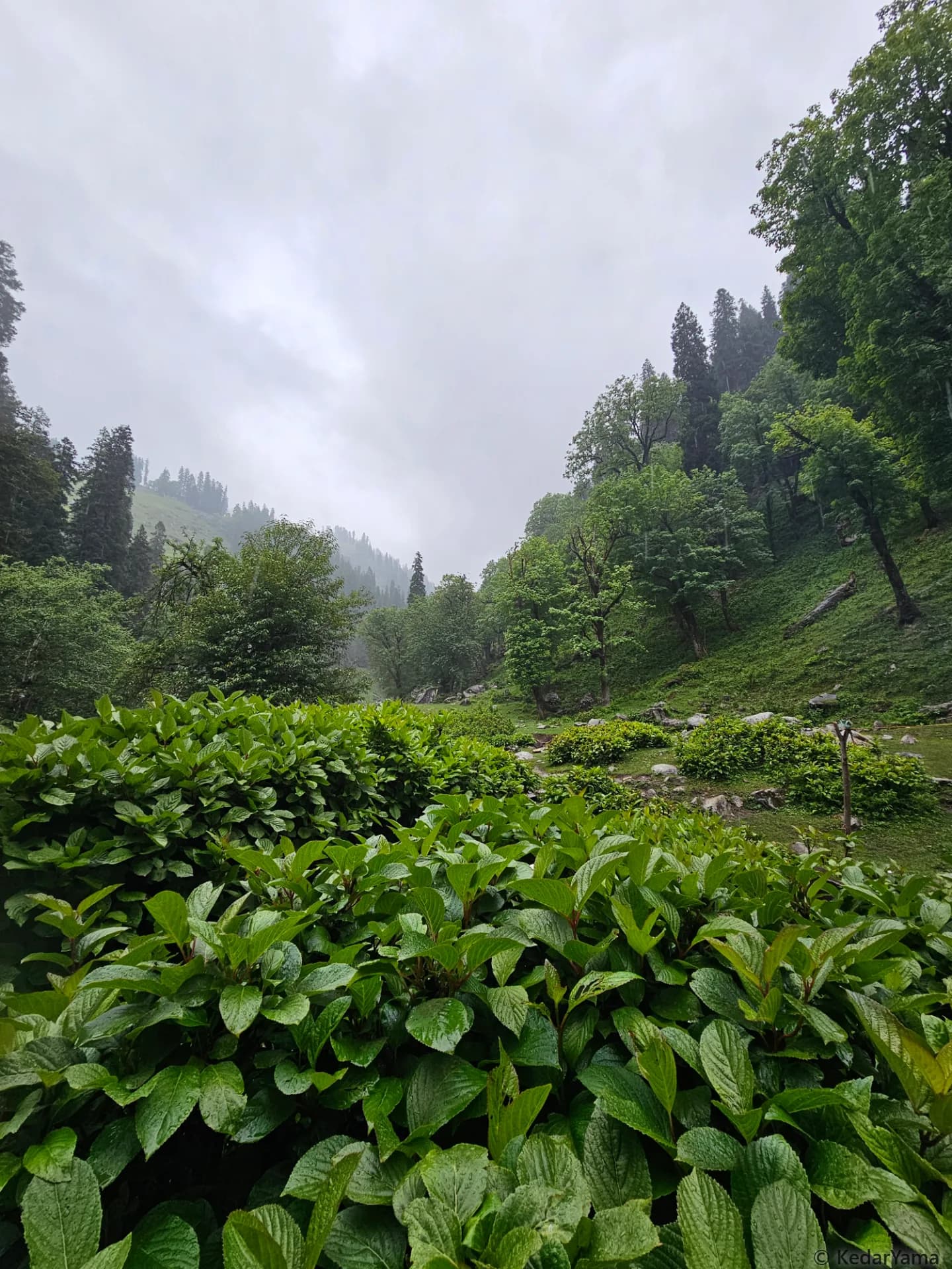 Scenery Scenery image