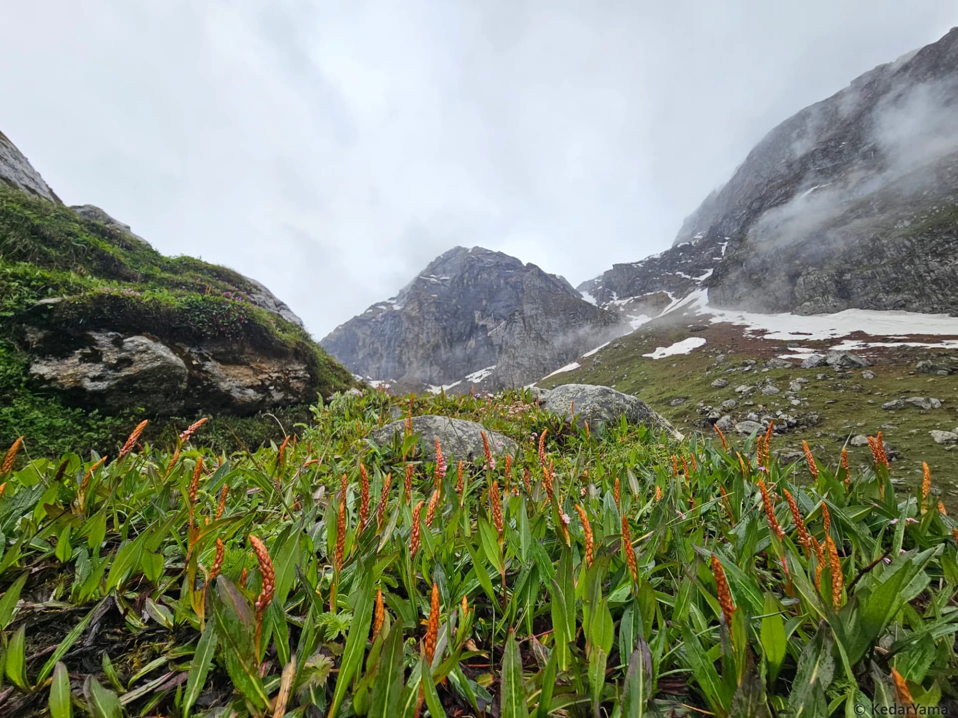 Scenery Scenery image