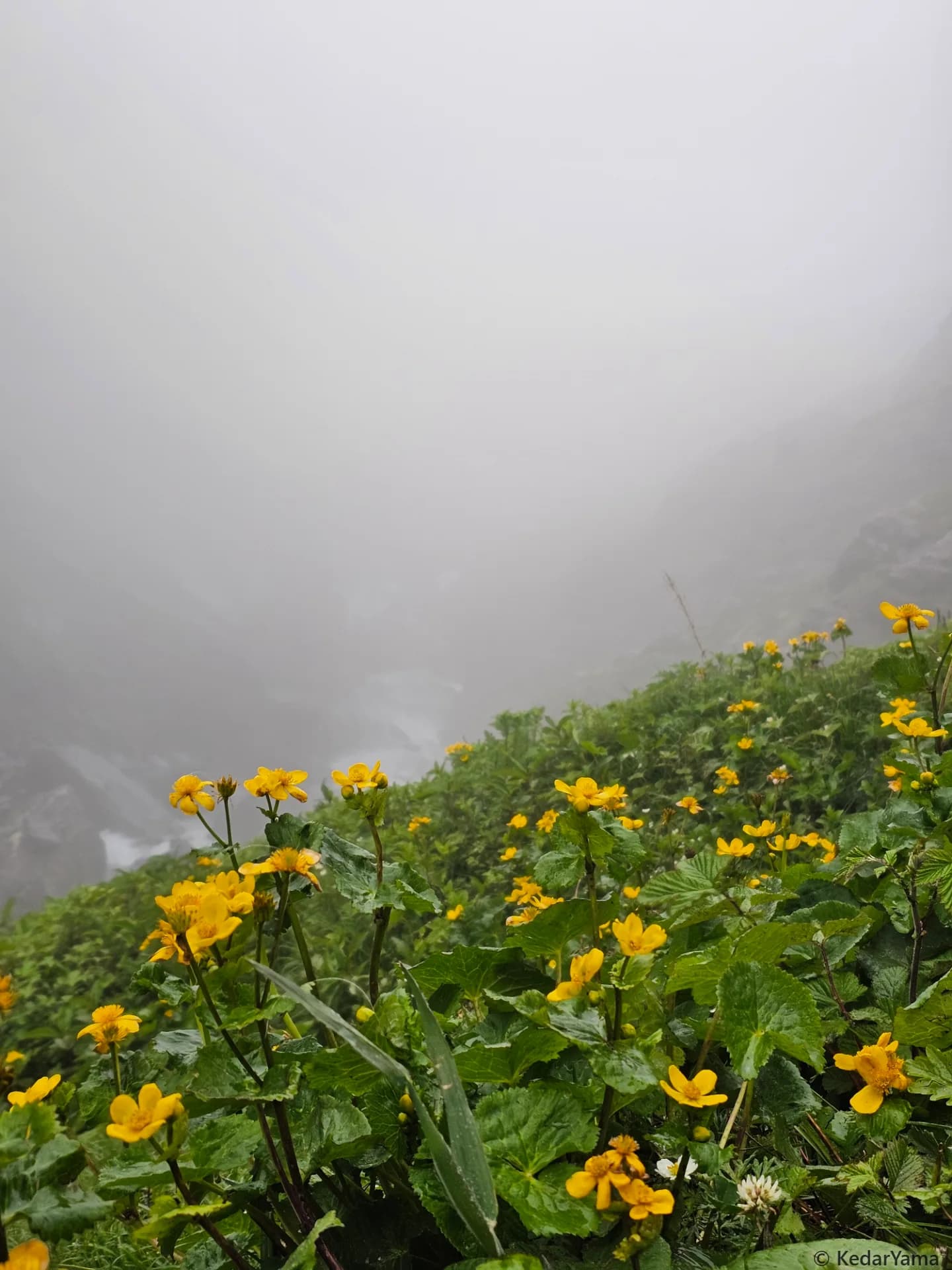 Scenery Scenery image