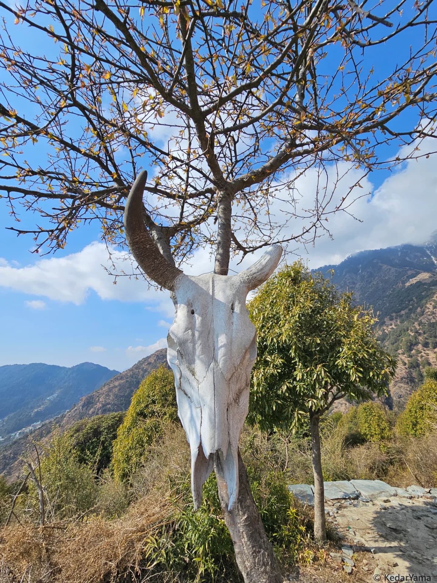 Other Other image