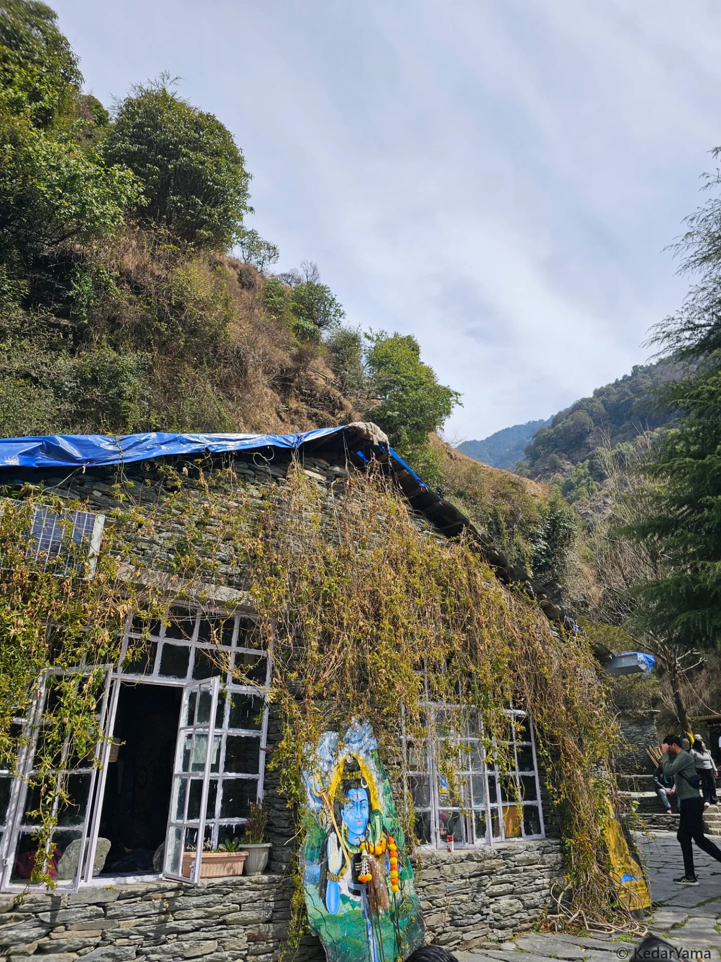Other Other image
